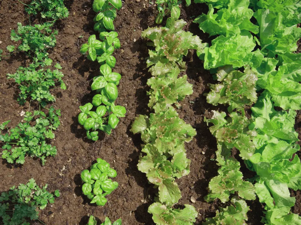 Des actions concrètes Participer à des actions de terrains qui ont du sens
